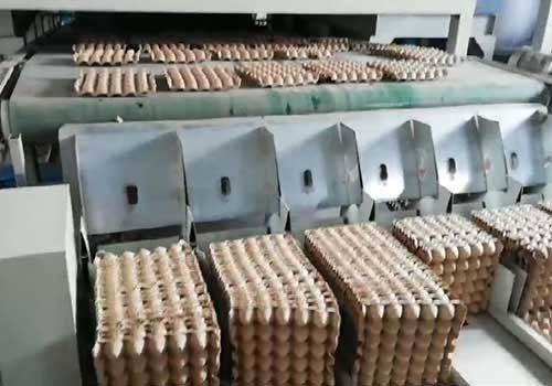 Egg tray stacker Egg tray stacker